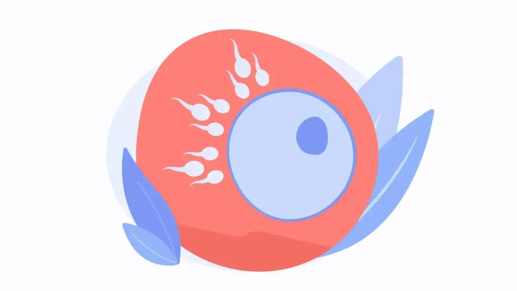IVF